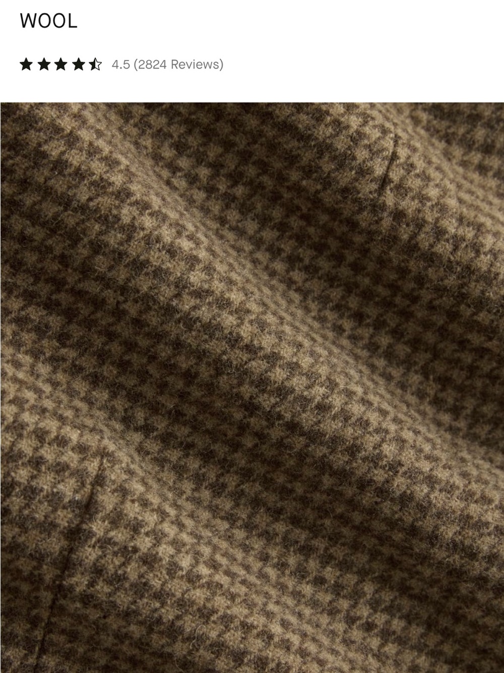 Everlane Oversized Wool Blazer in Brown Houndstooth - Picture 5 of 9